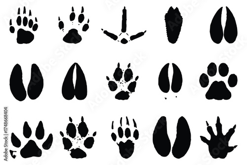 Vector art of collection of diverse animal footprint tracks