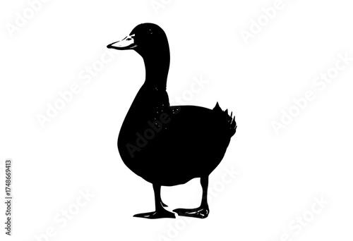 a black and white silhouette of a duck standing on one legbeak, bird, black, duck, profile, stand, white 