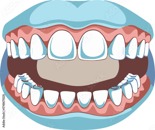 ChatGPT сказал:

A detailed cartoon-style dental illustration showing an open mouth with teeth and gums, highlighting oral anatomy and tooth alignment in a clean, educational vector design.