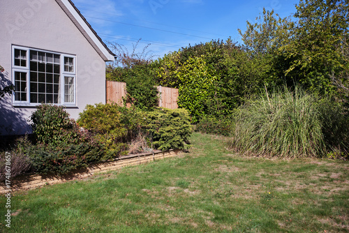 Lawn, pampas grass, bushes, hedges side of a bungalow in summer under blue sky