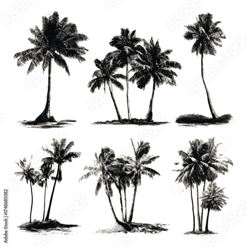 Set of six hand drawn black and white tropical palm tree illustrations.