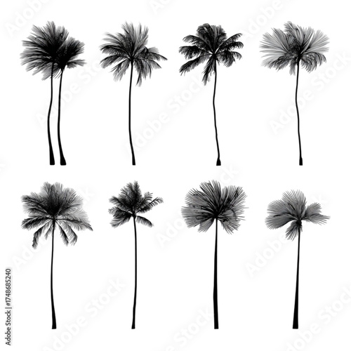 Set of eight artistic black and white palm tree silhouettes isolated on a white background.
