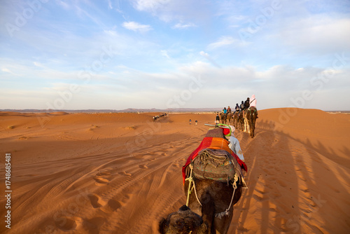 A group of travelers rides camels across the undulating dunes of Erg Chebbi in Merzouga, Morocco. The scene captures the warm hues of sunset illuminating the vast desert landscape