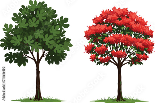 Green and red trees side by side, vibrant foliage contrast, seasonal nature landscape, autumn and summer colors, expressive botanical beauty
