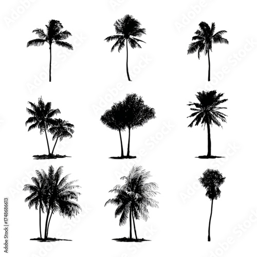 Set of nine black tropical palm tree silhouettes isolated on white.