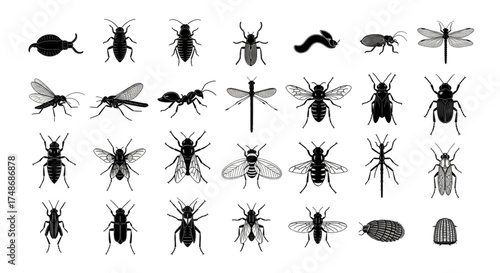 various type of insect silhouette icon set, vector asset pack.