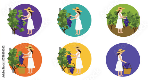 Women harvesting grapes in vineyards displayed in colorful oval frames
