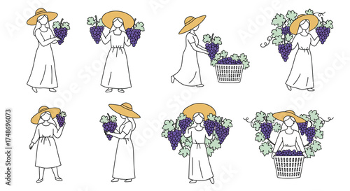 Vintage illustration of women harvesting grapes carrying baskets and wearing hats