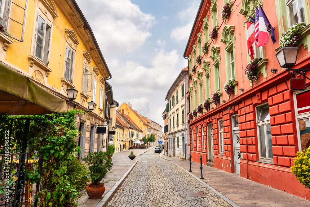 Fototapeta premium Streets with historic buildings decorated with plants and flowers in the center of Ptuj, Slovenia.