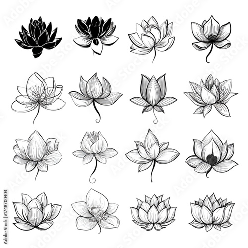 Collection of sixteen hand drawn lotus flower sketch illustrations.