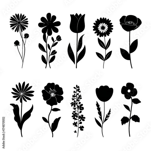Collection of ten different black flower silhouettes vector illustrations.