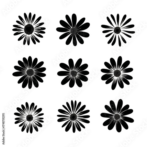 Set of nine black daisy flower silhouette icons on a white background.