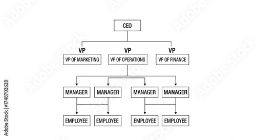 Organizational Hierarchy Chart: Corporate Structure, Management Tree