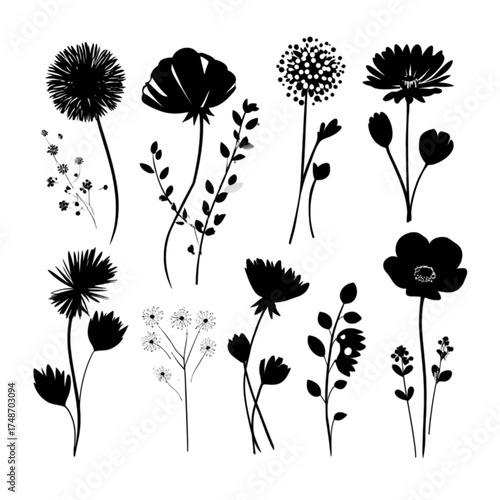 A beautiful collection of various black flower and plant silhouettes.