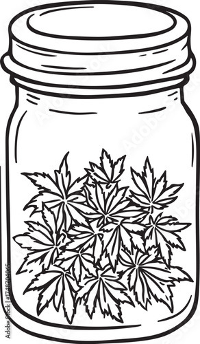 Cannabis Shop Marijuana Buds in Jar CBD, THC or Medicinal Hemp Hand-drawn Sketch Drawing Vector Illustration, Line Linear Symbol Engraving Coloring Book, Black and White Isolated