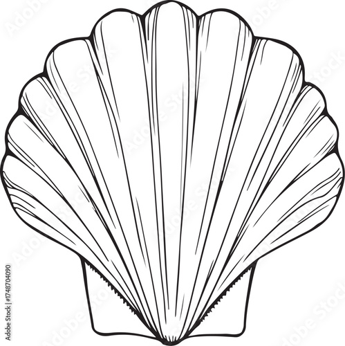 Scallop Seashell Mollusk Hand-drawn Sketch Drawing Vector Illustration, Line Linear Symbol Engraving Coloring Book, Black and White Isolated