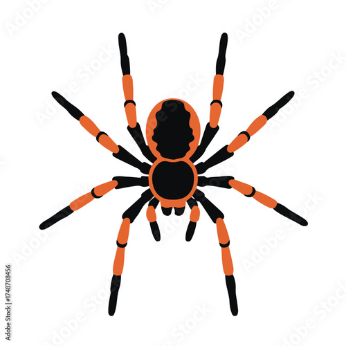 Tarantula Illustration Featuring Black Body with Orange Segmented Legs, Top-Down View of Eight-Legged Arachnid, Creepy Creature Visual for Halloween, Nature, and Educational-Themed Content.