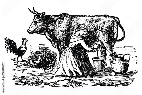 Vector art of vintage illustration of a woman milking a cow with a rooster nearby, depicting rural farm life and traditional agriculture