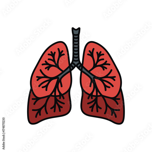Human Lungs and Respiratory System Icon, a Simple Medical Illustration in a Flat Design Style, a Symbol for Pulmonology, Anatomy, and Lung Health Awareness, Vector Graphic with Trachea and Bronchi.
