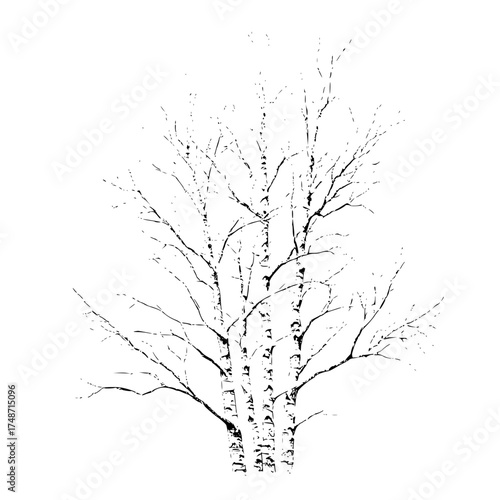 A small plant growing on a rock formation with leaves and branches in a black and white illustration style