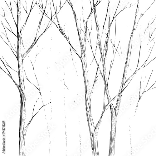 Abstract illustration of vertical black lines resembling tree trunks on a white background design element