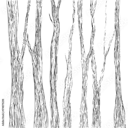 Illustration of a series of bare tree trunks with branches in a black and white drawing style image design