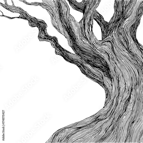 Illustration of a tree branch with small offshoots and rough bark texture in black and white style