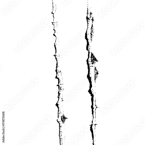 Illustration of a birch tree trunk with detailed bark texture in a black and white sketch style art