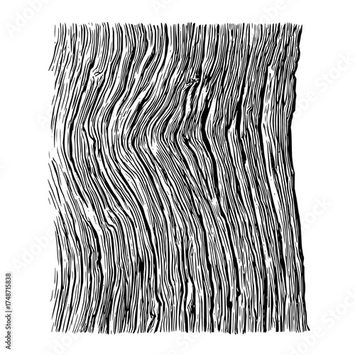 Monochrome illustration featuring dense vertical parallel lines with slight undulation and texture effect