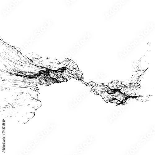 Collection of hand drawn tree trunks with detailed bark texture in black and white linear style design art