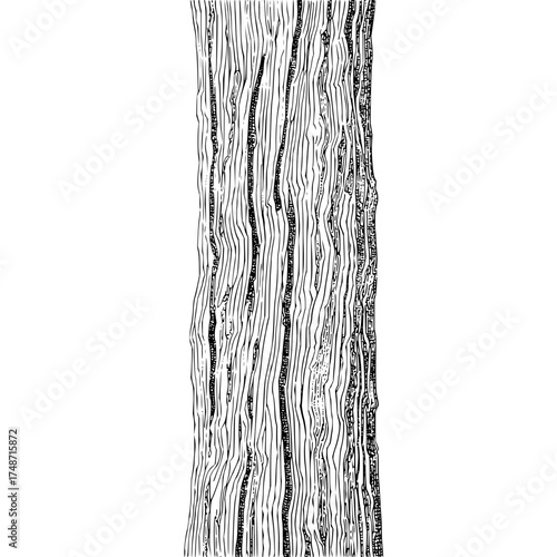 Illustration of a tree trunk with detailed bark texture and black and white color scheme with vertical lines