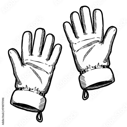 Warm gloves with cuffs displayed vector illustration on transparent background
