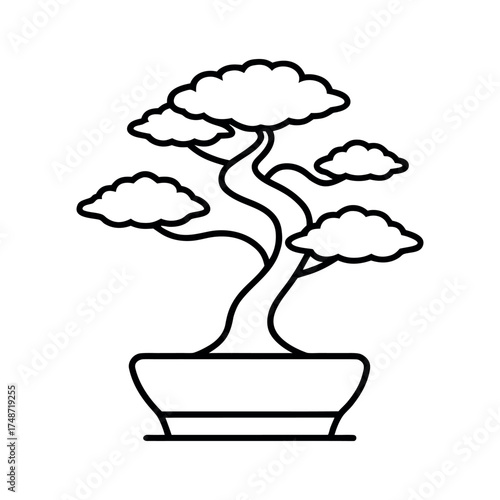 Bonsai Tree Outline Drawing Vector