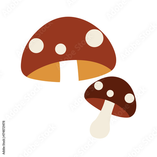 brown and white mushrooms with caps and stems