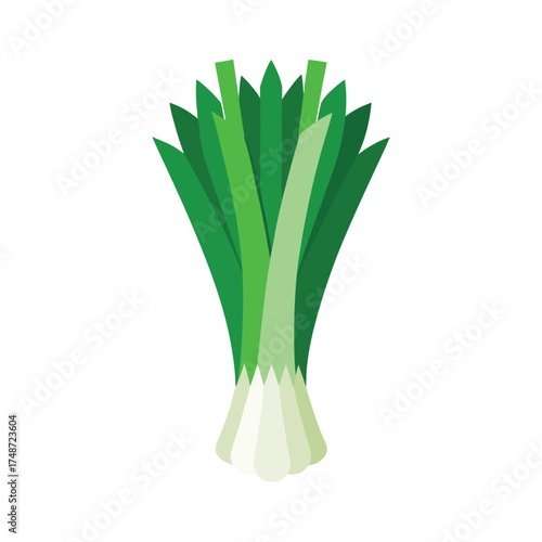  fresh leeks with green tops and white stems