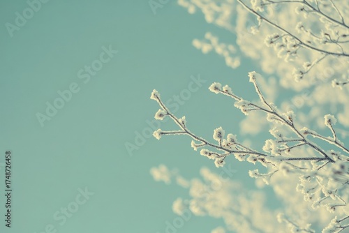 Delicate tree branches covered in hoarfrost sparkle against a serene, light blue winter sky, creating a peaceful, crisp nature scene.