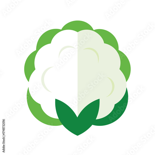 white cauliflower with green leaves around base