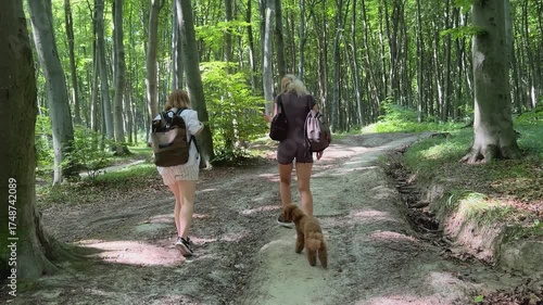 Two women with backpacks behind them are walking along a path in the forest. Two women with a poodle dog are walking in the forest. A walk in the fresh air