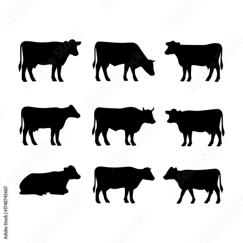 set of outline icons cows vector on a white background
set of 9 line icons, vector, on a white background