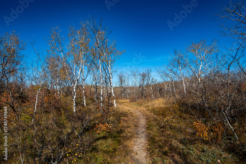 Douglas Provincial Park Sand Dune in Autumn