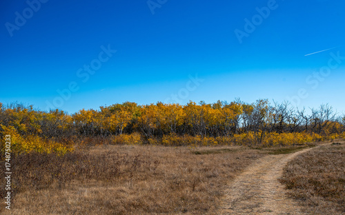 Douglas Provincial Park Sand Dune in Autumn