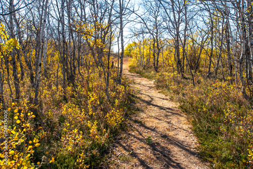 Douglas Provincial Park Sand Dune in Autumn
