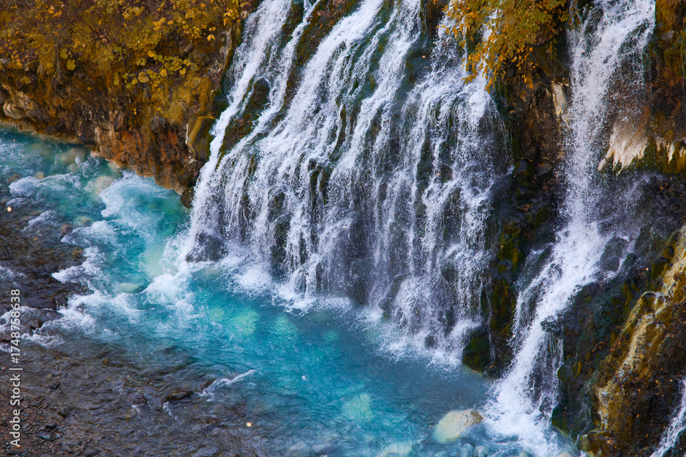 Obraz premium 白髭の滝