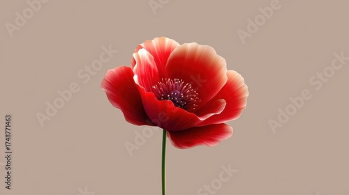 Vibrant Red Flower with Delicate Petals on Soft Neutral Background in Stunning Detail for Nature and Floral Illustrations
