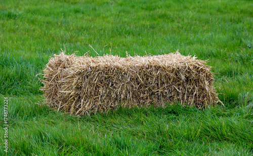 A Rectangular Hay Bale in a Field at a Country Show