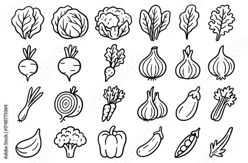 Hand-drawn assorted vegetables set featuring leafy greens, root veggies, and more