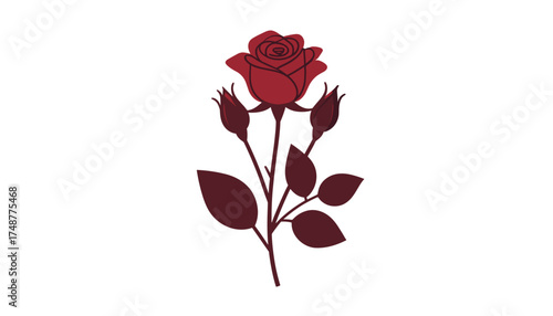 Stem of a bushy red rose with buds for romantic decoration in a classic style