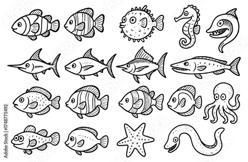 Hand drawn sea creatures: charming marine life doodles and ocean animals