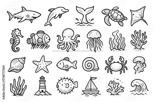 Hand drawn sea creatures and nautical elements set