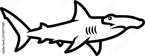 shark, sea animal vector illustration
